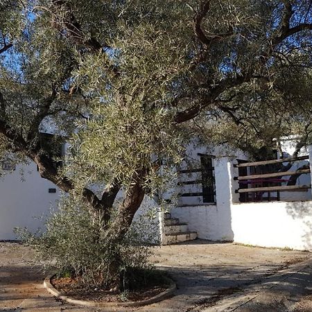 فندق أورخيفافي  Gateway To The Alpujarras, 'Cortijo Derry' المظهر الخارجي الصورة