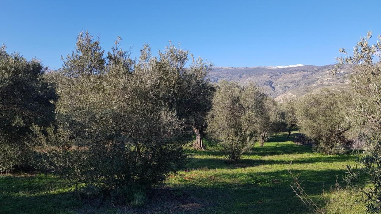 فندق أورخيفافي  Gateway To The Alpujarras, 'Cortijo Derry' المظهر الخارجي الصورة