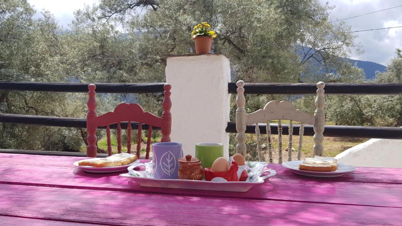 فندق أورخيفافي  Gateway To The Alpujarras, 'Cortijo Derry' المظهر الخارجي الصورة