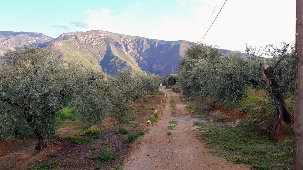 فندق أورخيفافي  Gateway To The Alpujarras, 'Cortijo Derry' المظهر الخارجي الصورة