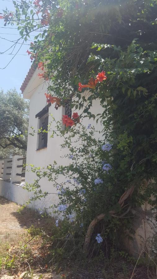 فندق أورخيفافي  Gateway To The Alpujarras, 'Cortijo Derry' المظهر الخارجي الصورة
