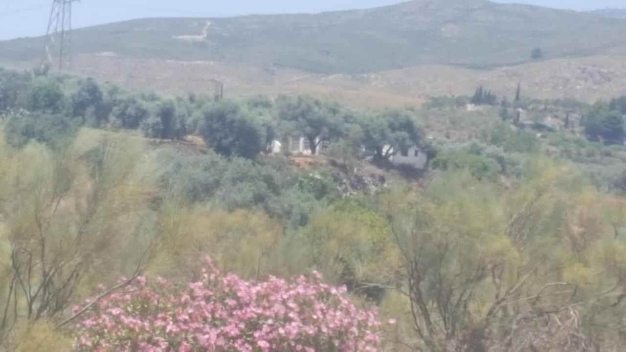 فندق أورخيفافي  Gateway To The Alpujarras, 'Cortijo Derry' المظهر الخارجي الصورة