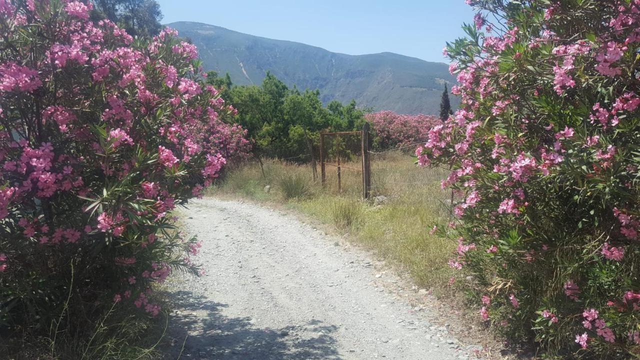 فندق أورخيفافي  Gateway To The Alpujarras, 'Cortijo Derry' المظهر الخارجي الصورة